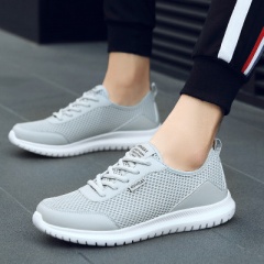 15456604231 Price US$11.6